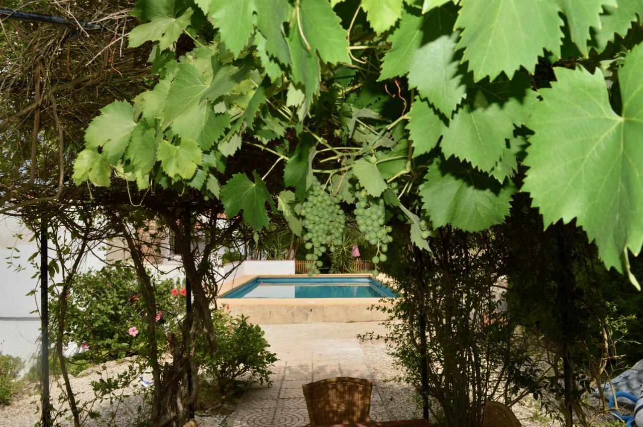Casa Jiby Apartment Llosa de Camacho ภายนอก รูปภาพ